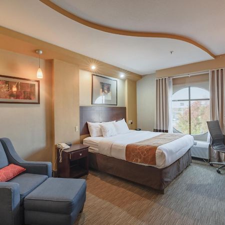 Comfort Suites Perrysburg - Toledo South Dış mekan fotoğraf
